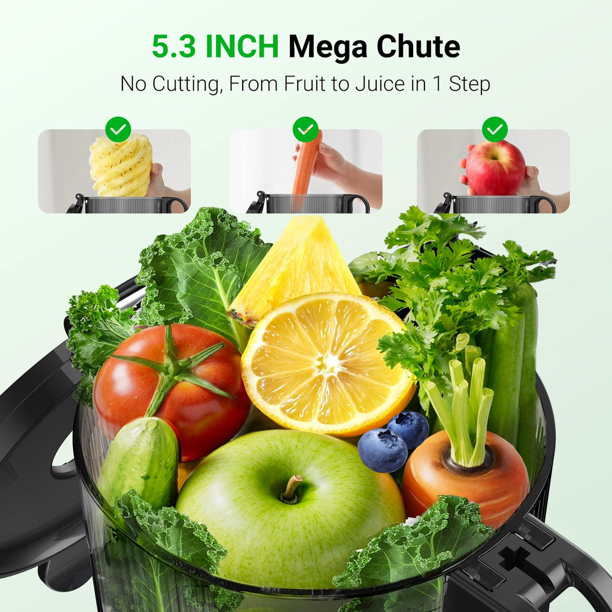 5.3" Large Feed Chute Slow Juicer 1.7L Capacity Cold Press Masticating Juicer with Reverse Function Whole Fruits and Vegetables